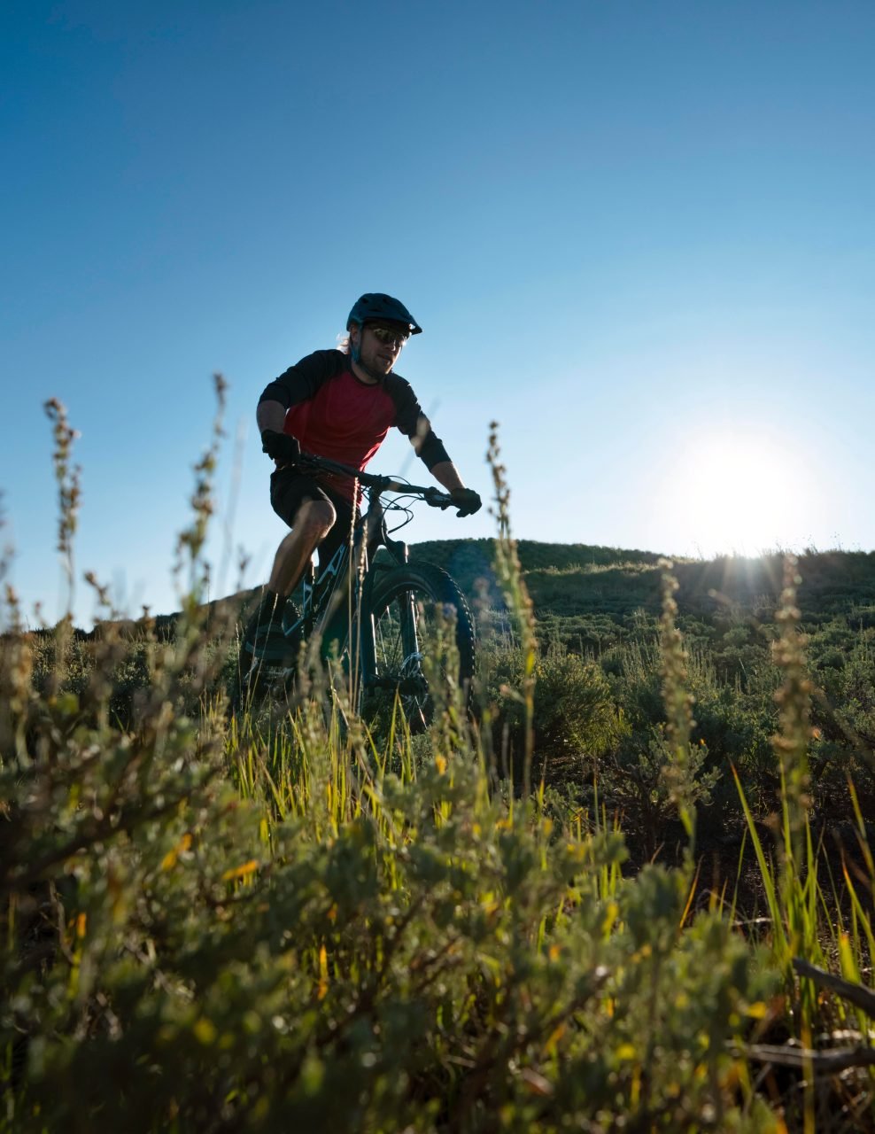 escursione in mountain bike